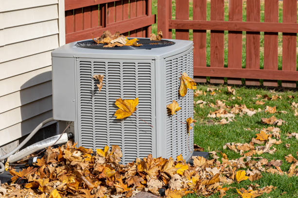 Best HVAC maintenance near me  in Rock Creek, MN